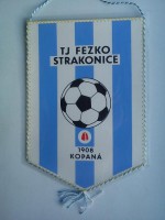 /album/strakonice/strakonice-tj-fezko-26-jpg/